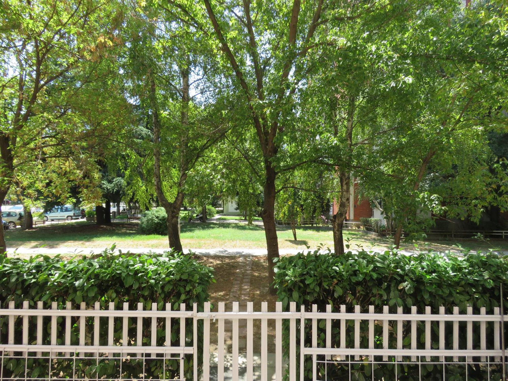 Aneta's Groundfloor Near Park